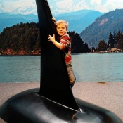 Standing on an Orca Standing on an Orca