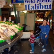 Liam and the Monkfish Liam and the Monkfish