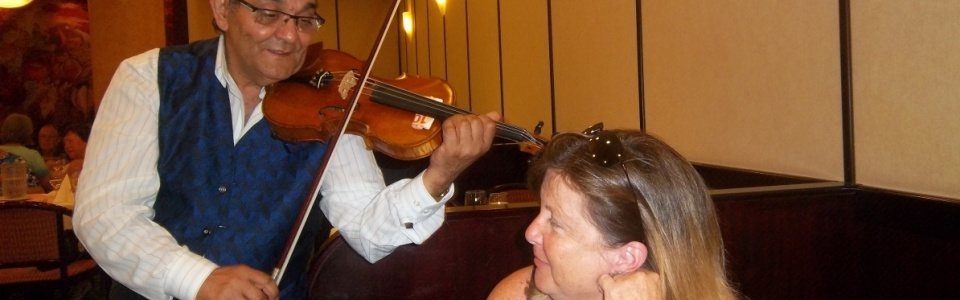 violin at the table
