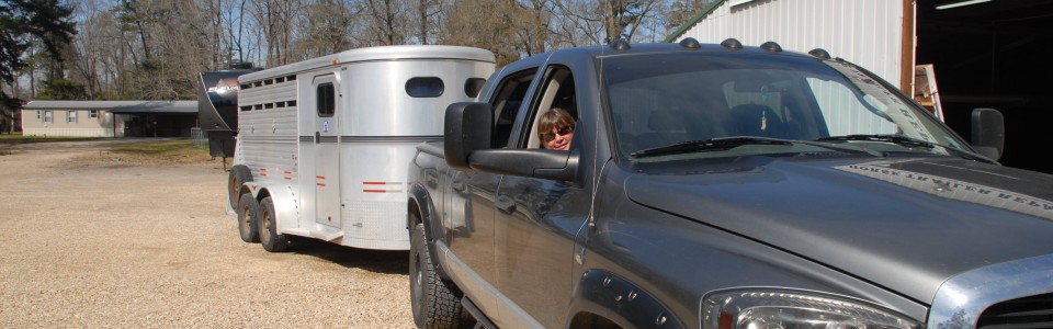 Maranda's Horse Trailer