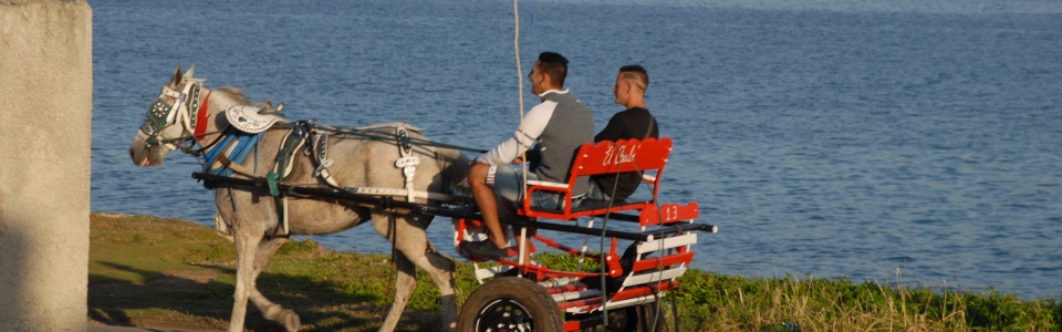 Cuba Life